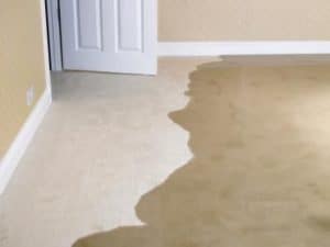 water damage soaked carpet