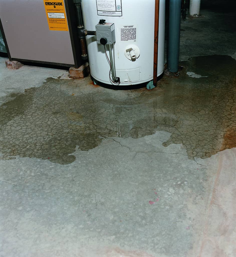 What To Do When There Is Water Damage In Your Basement In Phoenix