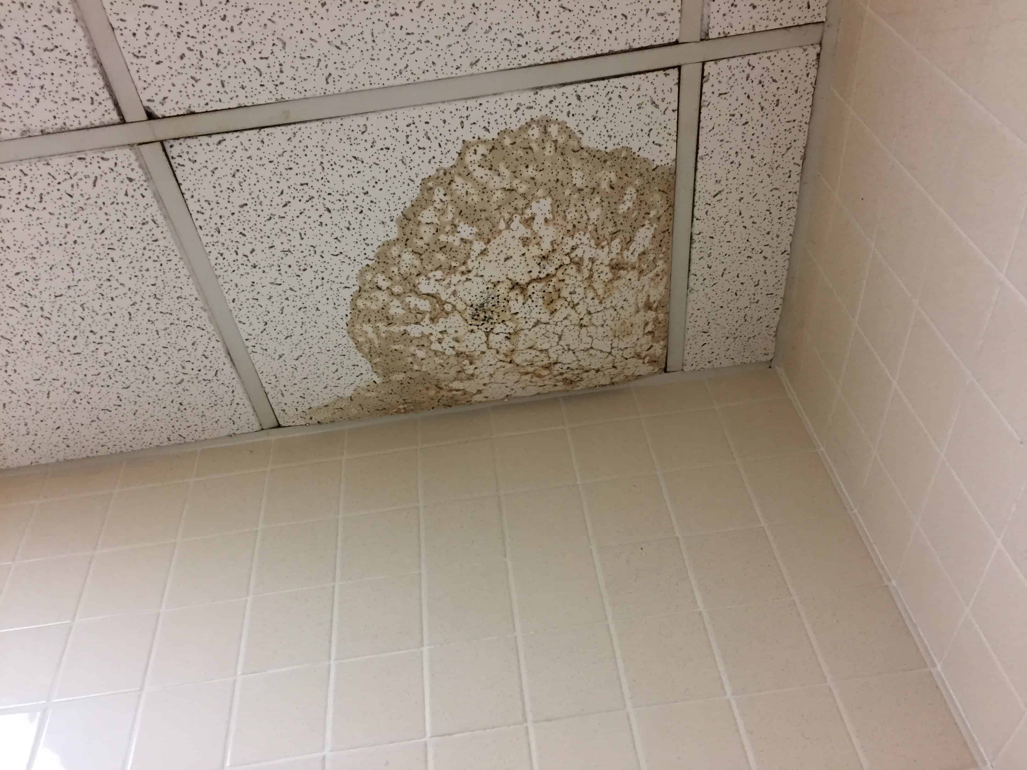 3 Signs To Check For Water Damage In Your New Home In Phoenix