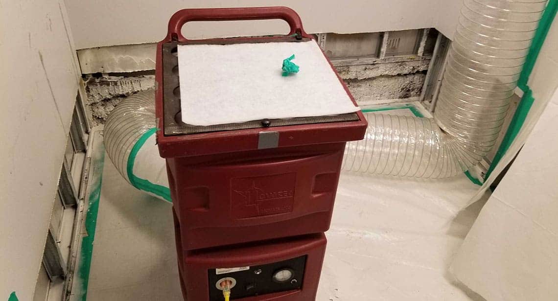 Mold Remediation and Removal